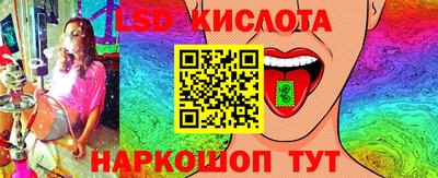 прущие крисы Будённовск