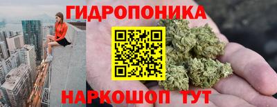 прущие крисы Будённовск
