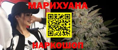 прущие крисы Будённовск