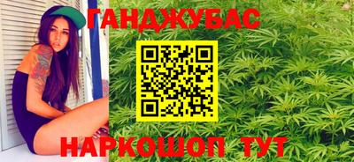 прущие крисы Будённовск