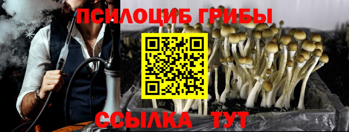 Псилоцибиновые грибы Psilocybine cubensis  Вход с VPN  Псилоцибиновые грибы GOLDEN TEACHER  Арзамас 
